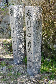 香川の保存木の標柱