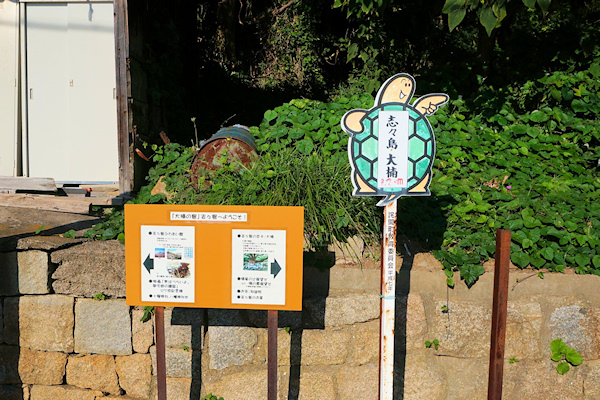 志々島の大楠への案内板