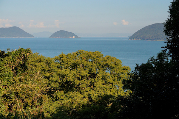 志々島の大楠と瀬戸内海