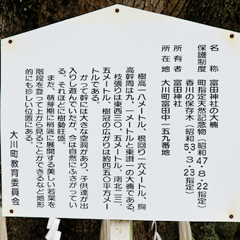 富田神社の大楠説明板