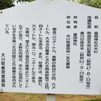 富田神社の大杉説明板