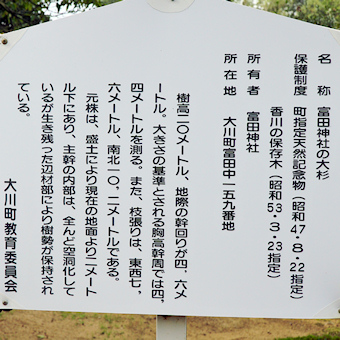 富田神社の大杉説明板