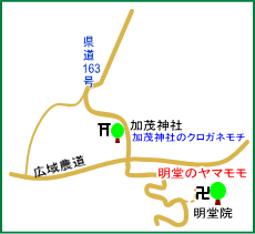 明堂のヤマモモ マップ