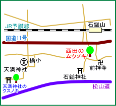 西田のムクノキ　マップ
