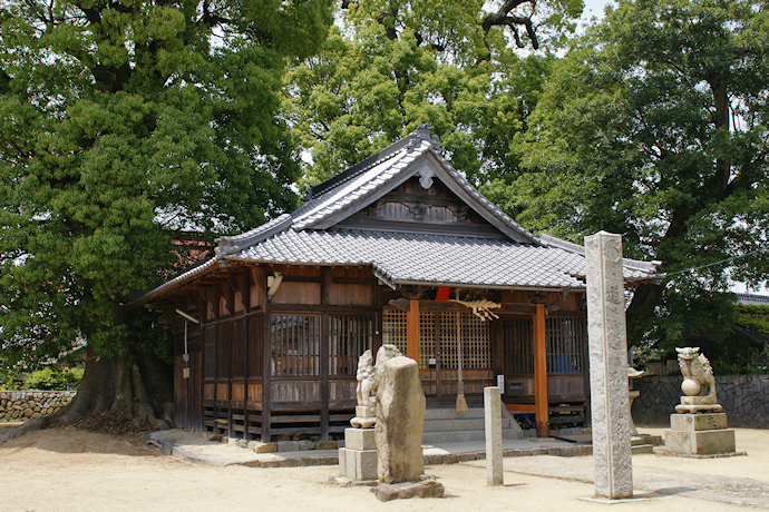 大足智姫神社社殿と大樟