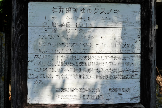 仁井田神社のクスノキ説明板