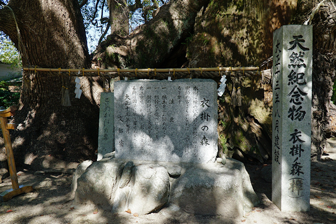 衣掛ノ森（樟）　石碑