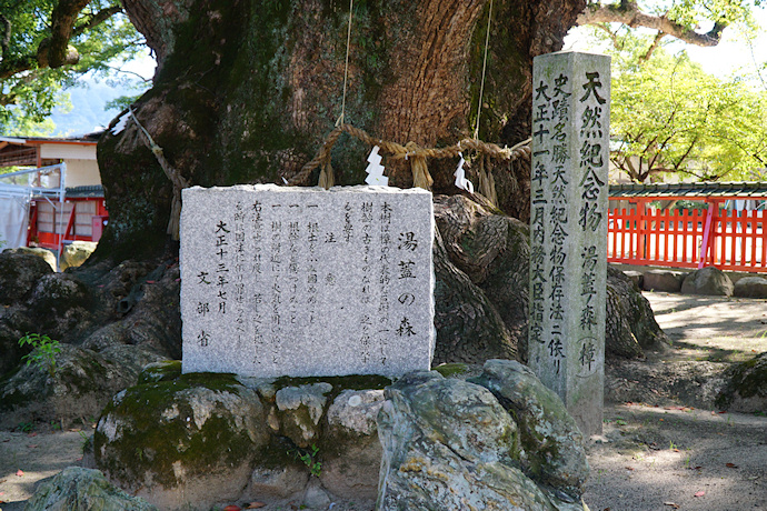 湯蓋の森　（宇美八幡宮）